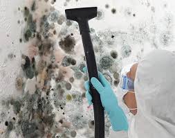 Trusted Mount Ida, AR Mold Inspection Experts